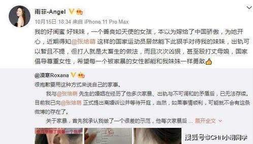 老马妻子爆料视频播放网站,独家播放网站大揭秘